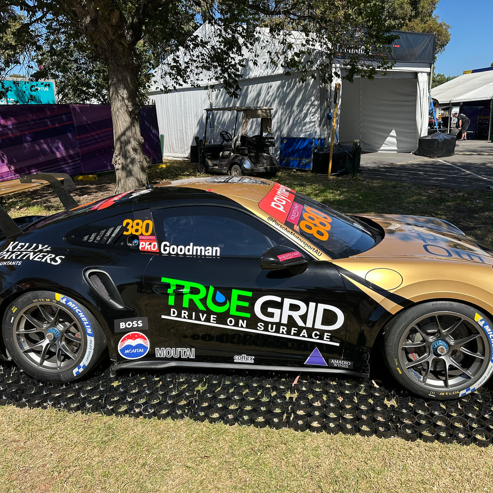 
                  
                    TRUEGRID PRO PLUS S-FLEX 48
                  
                