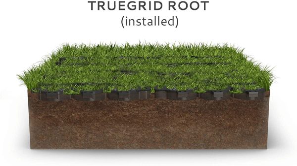 TRUEGRID ROOT